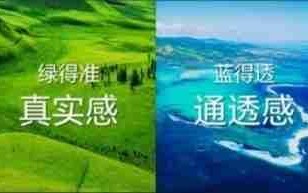 盘一盘新款RGB-MiniLed电视哪款值得买