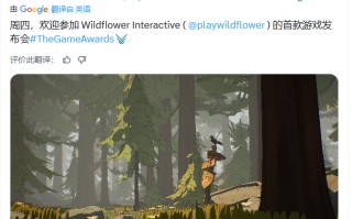 TGA重磅预告！《最后生还者》总监工作室将揭晓首作