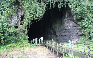 探秘婆罗洲：雨林洞穴中的食物链 精选