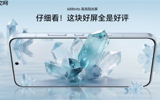 1.05mm行业最窄黑边！荣耀500全系标配绿洲护眼屏