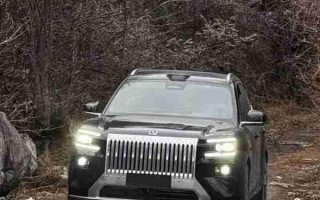 极氪8X实车图曝光：直瀑式格栅设计 今年一季度或亮相