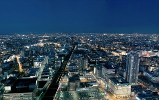 2025年11月16日湖南省白条鸡批发价格行情