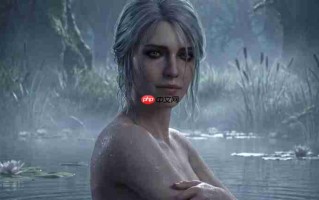 沙漠还是寒冬？ IGN波兰记者分析《巫师3》新DLC地点