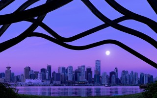 2025年11月16日广西壮族自治区胡萝卜批发价格行情