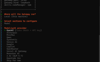 “AI打工人”OpenClaw值得用吗？问题百出，专家：远非生产力工具