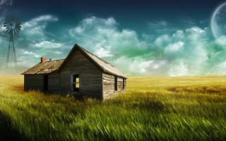 2025年11月16日海南省白条猪批发价格行情