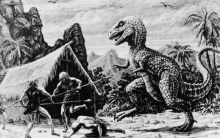 我们不知道答案的125个科学问题(108)阻止物种灭绝 精选