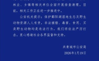 鄱阳湖湿地内有野生动物疑似遭毒害 江西警方通报