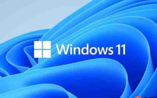 Windows 11新BUG导致密码登录神秘消失！微软建议"盲操"