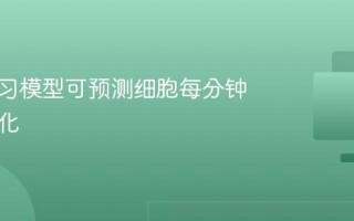 深度学习模型可预测细胞每分钟发育变化