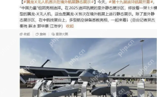 迪拜航展再添“中国力量”，翼龙-X与C919联袂亮相