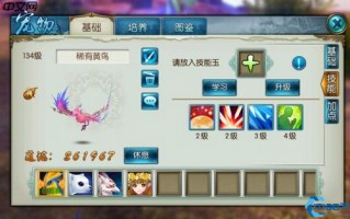 青云全方位养成指南：从宠物搭配到元婴培养的终极攻略