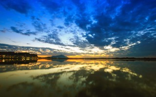 2025年11月16日湖南省山药批发价格行情