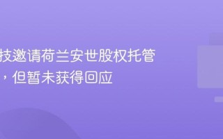 闻泰科技邀请荷兰安世股权托管人会谈，但暂未获得回应
