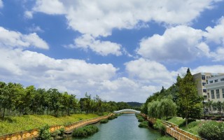 夏日里常见的开花植物（9） 精选