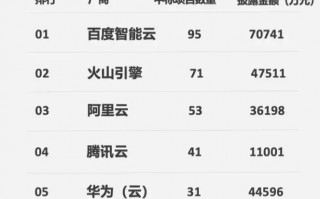 2025 年前 11 个月中国大模型政企采购超 21 亿元