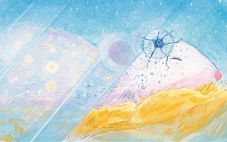 特定神经元有助大脑微调血糖水平