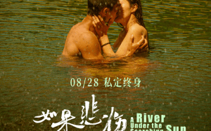 新片上映预告