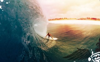 2025年11月16日海南省蒜头批发价格行情