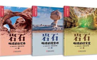 我为石头立小传 精选