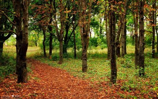 2025年11月16日海南省后臀尖批发价格行情