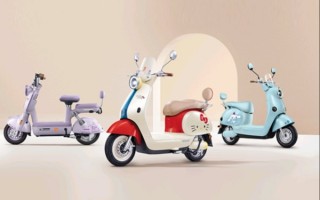 印度车企称印度是世界最大电动车国 小字备注除中国外