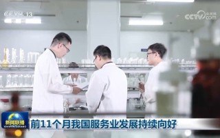 前11个月我国服务业发展持续向好