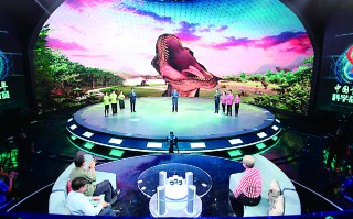 提问未知，让孩子从“追随者”变“探索家”