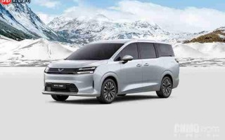 五菱星光730累计交付11280辆 同级唯一一车三动力