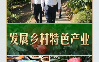 习言道｜从荔枝园到柚子园，习近平不变的牵挂