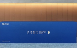 碧潭飘雪论道的诗意茶时光：碧潭浮雪香盈盏，茶歇围坐暖人心