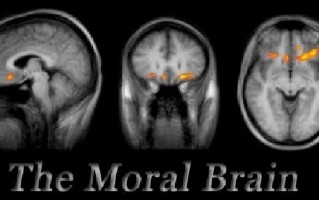 我们不知道答案的125个科学问题(93)道德的生理基础 精选