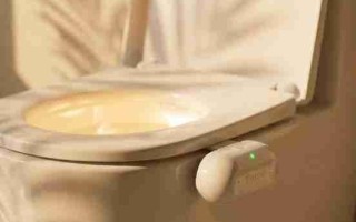 CES 2026猎奇产品大集合：「马桶电脑」监控肠道、Faker成3D 全息 AI 数位伴侣