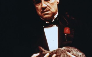 美国国宝级演员盘点——男演员篇 马龙白兰度和伊斯特伍德等在列