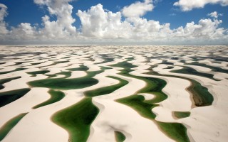 2025年11月16日广东省羊腿肉批发价格行情