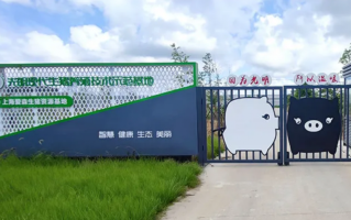 动物友好成养殖行业高质量发展新趋势，光明肉业斩获国内首张生猪养殖认证证书
