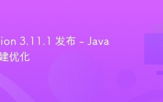 ip2region 3.11.1 发布 - Java 服务构建优化