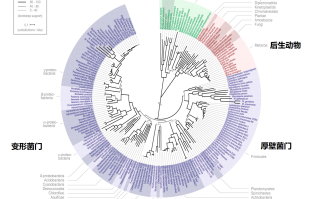 我们不知道答案的125个科学问题(97)生命之树 精选