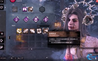 乌鸦女巫核心玩法解析 从技能搭配到配件选择的完整攻略