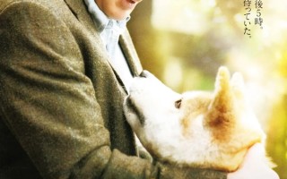 豆瓣影史经典电影《忠犬八公的故事》台词赏析“你却是它的一生”