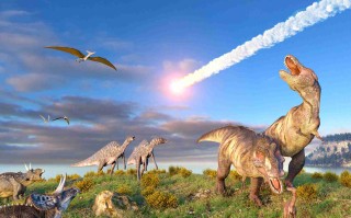 我们不知道答案的125个科学问题(107)物种大灭绝 精选