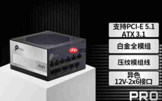 微星PRO A1000PL PCIE5电源上市：ATX3.1+PCIe5.1双认证，首发699元