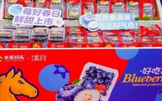 水果码头x紫约合作签约仪式暨“好吃莓”上新发布会圆满举行