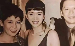 向太谈两次从黑社会手上救出梅艳芳 自述第一次被人用枪指着