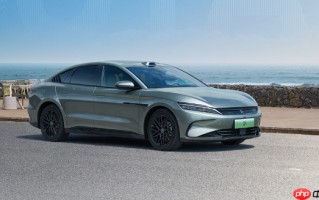 今日新能源板块强势反弹 锂电与光伏板块领涨市场