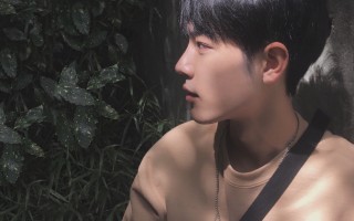 水母居然能整晚安睡还有午休