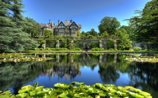 2025年11月16日海南省生姜批发价格行情