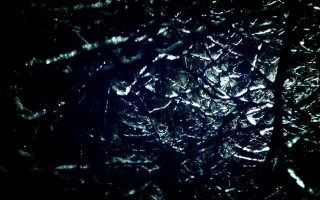 2025年11月16日海南省洋葱批发价格行情