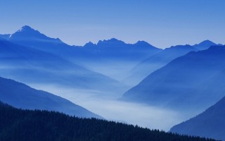 GEO服务市场深度解析：垂直领域专业玩家的价值凸显,
