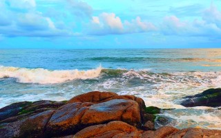 让人起鸡皮疙瘩的“海洋害虫”，竟然是一味中药材